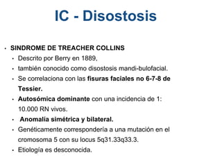 • SINDROME DE TREACHER COLLINS
• Descrito por Berry en 1889,
• también conocido como disostosis mandi-bulofacial.
• Se correlaciona con las fisuras faciales no 6-7-8 de
Tessier.
• Autosómica dominante con una incidencia de 1:
10.000 RN vivos.
• Anomalía simétrica y bilateral.
• Genéticamente correspondería a una mutación en el
cromosoma 5 con su locus 5q31.33q33.3.
• Etiología es desconocida.
IC - Disostosis
 