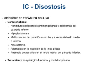 • SINDROME DE TREACHER COLLINS
• Características:
• Hendiduras palpebrales antimongolianas y colobomas del
párpado inferior
• Hipoplasia malar
• Malformación del pabellón auricular y a veces del oído medio
e interno
• macrostomía
• Anomalías en la inserción de la línea pilosa
• Ausencia de pestañas en el tercio medial del párpado inferior.
• Tratamiento es quirúrgico funcional y multidisciplinario.
IC - Disostosis
 