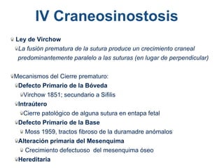 Ley de Virchow
La fusión prematura de la sutura produce un crecimiento craneal
predominantemente paralelo a las suturas (en lugar de perpendicular)
Mecanismos del Cierre prematuro:
Defecto Primario de la Bóveda
Virchow 1851; secundario a Sifilis
Intraútero
Cierre patológico de alguna sutura en entapa fetal
Defecto Primario de la Base
Moss 1959, tractos fibroso de la duramadre anómalos
Alteración primaria del Mesenquima
Crecimiento defectuoso del mesenquima óseo
Hereditaria
IV Craneosinostosis
 