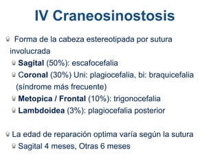 Forma de la cabeza estereotipada por sutura
involucrada
Sagital (50%): escafocefalia
Coronal (30%) Uni: plagiocefalia, bi: braquicefalia
(síndrome más frecuente)
Metopica / Frontal (10%): trigonocefalia
Lambdoidea (3%): plagiocefalia posterior
La edad de reparación optima varía según la sutura
Sagital 4 meses, Otras 6 meses
IV Craneosinostosis
 