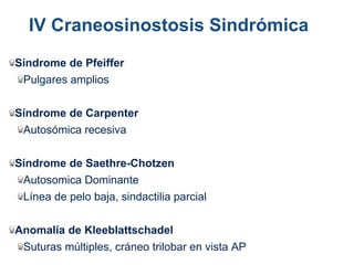 Síndrome de Pfeiffer
Pulgares amplios
Síndrome de Carpenter
Autosómica recesiva
Síndrome de Saethre-Chotzen
Autosomica Dominante
Línea de pelo baja, sindactilia parcial
Anomalía de Kleeblattschadel
Suturas múltiples, cráneo trilobar en vista AP
IV Craneosinostosis Sindrómica
 