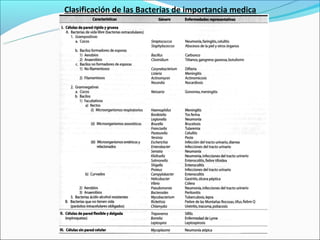 Clasificación de las Bacterias de importancia medica
 