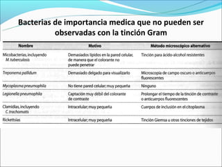 Bacterias de importancia medica que no pueden ser
          observadas con la tinción Gram
 