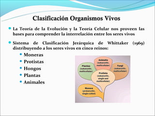 Clasificación Organismos Vivos
 La Teoría de la Evolución y la Teoría Celular nos proveen las
  bases para comprender la interrelación entre los seres vivos
 Sistema   de Clasificación Jerárquica de Whittaker (1969)
  distribuyendo a los seres vivos en cinco reinos:
      Moneras

      Protistas

      Hongos

      Plantas

      Animales
 