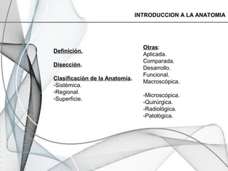 Definición.
Disección.
Clasificación de la Anatomía.
-Sistémica.
-Regional.
-Superficie.
INTRODUCCION A LA ANATOMIA
Otras:
Aplicada.
Comparada.
Desarrollo.
Funcional.
Macroscópica.
-Microscópica.
-Quirúrgica.
-Radiológica.
-Patológica.
 