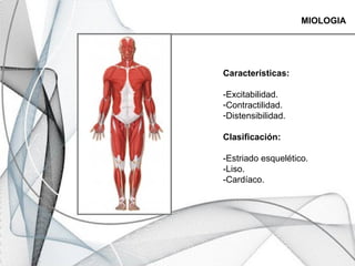 Características:
-Excitabilidad.
-Contractilidad.
-Distensibilidad.
Clasificación:
-Estriado esquelético.
-Liso.
-Cardíaco.
MIOLOGIA
 
