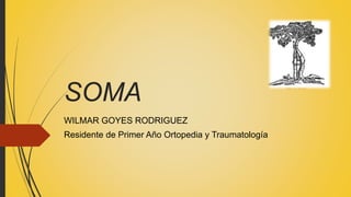SOMA
WILMAR GOYES RODRIGUEZ
Residente de Primer Año Ortopedia y Traumatología
 