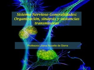 Sistema Nervioso Generalidades:Organización, sinápsis y sustancias transmisoras Profesora Liliana Nucette de Sierra 