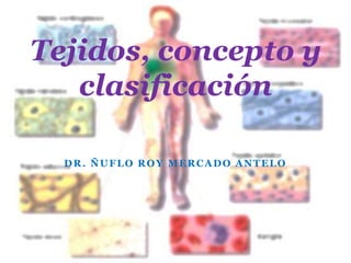 DR. ÑUFLO ROY MERCADO ANTELO
Tejidos, concepto y
clasificación
 