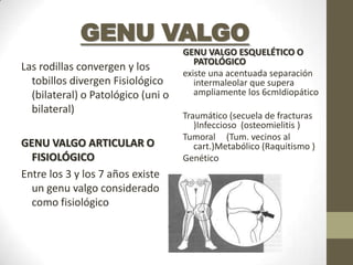 GENU VALGO
                                    GENU VALGO ESQUELÉTICO O
                                       PATOLÓGICO
Las rodillas convergen y los
                                    existe una acentuada separación
  tobillos divergen Fisiológico        intermaleolar que supera
  (bilateral) o Patológico (uni o      ampliamente los 6cmIdiopático
  bilateral)
                                    Traumático (secuela de fracturas
                                       )Infeccioso (osteomielitis )
                                    Tumoral (Tum. vecinos al
GENU VALGO ARTICULAR O                 cart.)Metabólico (Raquitismo )
  FISIOLÓGICO                       Genético
Entre los 3 y los 7 años existe
  un genu valgo considerado
  como fisiológico
 