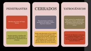 PENETRANTES
Heridas por arma de fuego,
blanca
sección parcial o completa del
uréter con salida de orina al
retroperitoneo y formación de un
urinoma
CERRADOS
Traumatismos violentos:
accidentes de tráfico, caídas,
deportes violentos.
lesión más frecuente es la avulsión
de la unión ureteropiélica por
hiperextensión forzada, separación
completa de la vía urinaria del
parénquima renal y rotura del
fórnix calicial por aumento de la
presión dentro de la vía urinaria.
YATROGÉNICOS
lesión ureteral se producirá por:
ligadura, sección, compresión
prolongada o disección excesiva
que ocasionan necrosis del
uréter
Aparición de fístulas y urinomas
o uropatía obstructiva con
anulación de un riñón o anuria
en caso de ligadura completa
ureteral bilateral.
 