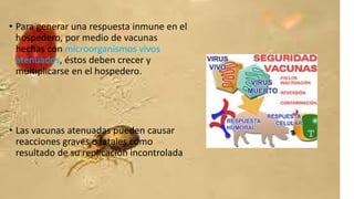 • Para generar una respuesta inmune en el 
hospedero, por medio de vacunas 
hechas con microorganismos vivos 
atenuados, éstos deben crecer y 
multiplicarse en el hospedero. 
• Las vacunas atenuadas pueden causar 
reacciones graves o fatales como 
resultado de su replicación incontrolada 
 