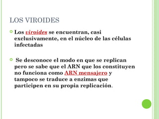 LOS VIROIDES
 Los viroides se encuentran, casi
exclusivamente, en el núcleo de las células
infectadas
 Se desconoce el modo en que se replican
pero se sabe que el ARN que los constituyen
no funciona como ARN mensajero y
tampoco se traduce a enzimas que
participen en su propia replicación.
 