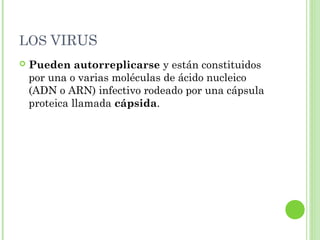 LOS VIRUS
 Pueden autorreplicarse y están constituidos
por una o varias moléculas de ácido nucleico
(ADN o ARN) infectivo rodeado por una cápsula
proteica llamada cápsida.
 
