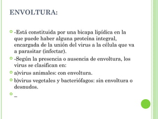 ENVOLTURA:
 -Está constituida por una bicapa lipídica en la
que puede haber alguna proteína integral,
encargada de la unión del virus a la célula que va
a parasitar (infectar).
 -Según la presencia o ausencia de envoltura, los
virus se clasifican en:
 a)virus animales: con envoltura.
 b)virus vegetales y bacteriófagos: sin envoltura o
desnudos.
  
 