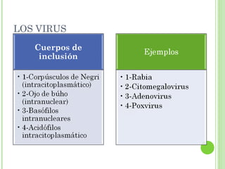 LOS VIRUS
42
 