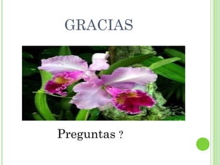 GRACIAS
Preguntas ?
 