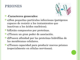 PRIONES
 -Caracteres generales:
 a)Son pequeñas partículas infecciosas (patógenos
capaces de resistir a los tratamientos que
inactivan a los ácidos nucleicos).
 b)Están compuestos por proteínas.
 c)Tienen un gran poder de asociación.
 d)Poseen afinidad por las proteínas hidrófilas de
las membranas celulares.
 e)Tienen capacidad para producir nuevos priones
(especialmente en células nerviosas).
 
