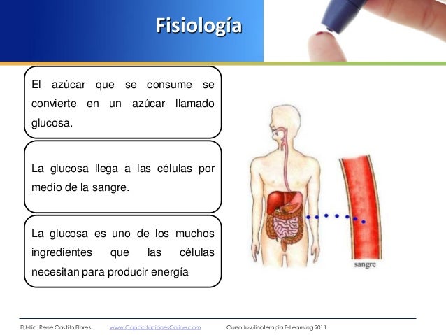 Generalidades diabetes mellitus rené castillo flores 2012