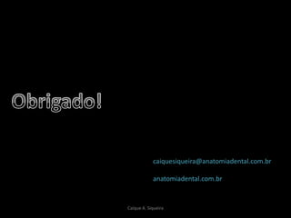 Caíque A. Siqueira
caiquesiqueira@anatomiadental.com.br
anatomiadental.com.br
 