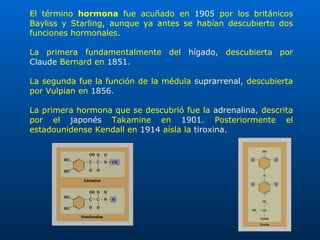 El término  hormona  fue acuñado en  1905  por los británicos Bayliss y Starling, aunque ya antes se habían descubierto dos funciones hormonales. La primera fundamentalmente del  hígado , descubierta por  Claude   Bernard  en  1851 . La segunda fue la función de la médula  suprarrenal , descubierta por Vulpian en  1856 .  La primera hormona que se descubrió fue la  adrenalina , descrita por el  japonés  Takamine en  1901 . Posteriormente el estadounidense Kendall en  1914  aísla la  tiroxina . 