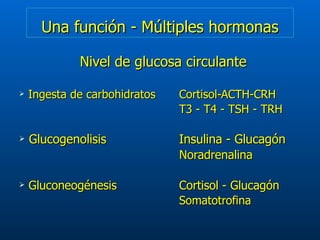 Una función - Múltiples hormonas Nivel de glucosa circulante Ingesta de carbohidratos Cortisol-ACTH-CRH T3 - T4 - TSH - TRH Glucogenolisis Insulina - Glucagón Noradrenalina Gluconeogénesis Cortisol - Glucagón Somatotrofina 