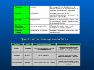 Ejemplos de hormonas gastro-entéricas Afecta el crecimiento, la madurez y el metabolismo. Hormona de la tiroides Glándula Tiroides Afecta la formación ósea y en la excreción de calcio y fósforo. Hormona paratiroidea Glándulas Paratiroideas Estimula el revestimiento uterino para la fecundación; prepara los senos para la producción láctea. Progesterona Ovarios Afecta el desarrollo de las características sexuales femeninas y el desarrollo reproductor. Estrógenos Ovarios Disminuye el nivel de azúcar en la sangre; estimula el metabolismo de la glucosa, las proteínas y las grasas.  insulina Páncreas 