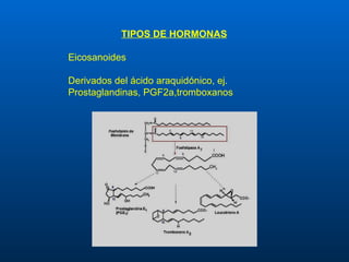 TIPOS DE HORMONAS Eicosanoides Derivados del ácido araquidónico, ej. Prostaglandinas, PGF2a,tromboxanos 