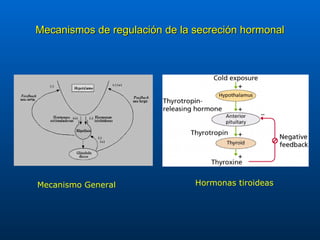 Mecanismos de regulación de la secreción hormonal Mecanismo General Hormonas tiroideas 