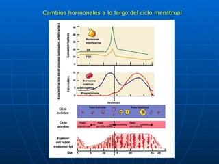 Cambios hormonales a lo largo del ciclo menstrual 