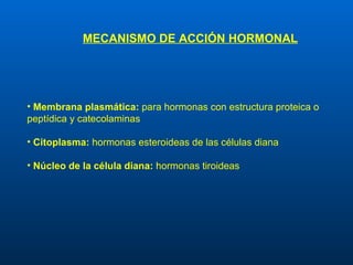 MECANISMO DE ACCIÓN HORMONAL Membrana plasmática:  para hormonas con estructura proteica o peptídica y catecolaminas Citoplasma:  hormonas esteroideas de las células diana Núcleo de la célula diana:  hormonas tiroideas 