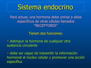 Sistema endocrino Para actuar, una hormona debe unirse a sitios específicos de otras células llamados “RECEPTORES” Tienen dos funciones: distinguir la hormona de cualquier otra sustancia circulante debe ser capaz de transmitir la información hormonal al núcleo celular y promover una acción específica 