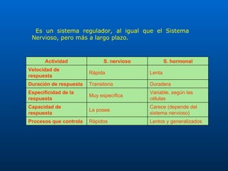Es un sistema regulador, al igual que el Sistema Nervioso, pero más a largo plazo.  Lentos y generalizados Rápidos Procesos que controla  Carece (depende del sistema nervioso) La posee Capacidad de respuesta  Variable, según las células Muy específica Especificidad de la respuesta  Duradera Transitoria Duración de respuesta  Lenta Rápida Velocidad de respuesta  S. hormonal S. nervioso Actividad 