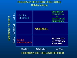 HORMONA DEL ORGANO EFECTOR HORMONA TROFICA BAJA NORMAL ALTA ALTA NORMAL BAJA FALLA HIPOFISIARIA FALLA EFECTOR SECRECION AUTONOMA EFECTOR SECRECION AUTONOMA O RESISTENCIA PERIFERICA NORMAL FEEDBACK HIPOFISIS-EFECTORES Utilidad clínica 