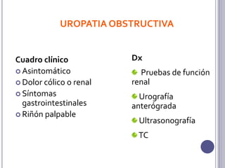 CÁLCULOS URETERALES
Dx:
Urografía excretora
TC
Tx:
LEOC
Nefrolitotomía percutánea
Ureteroscopia
Ureterolitotomía
 