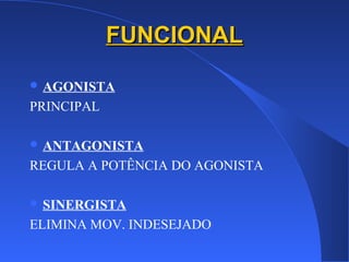 FUNCIONALFUNCIONAL
 AGONISTA
PRINCIPAL
 ANTAGONISTA
REGULA A POTÊNCIA DO AGONISTA
 SINERGISTA
ELIMINA MOV. INDESEJADO
 