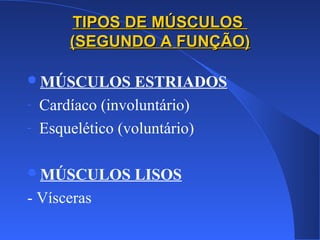 TIPOS DE MÚSCULOSTIPOS DE MÚSCULOS
(SEGUNDO A FUNÇÃO)(SEGUNDO A FUNÇÃO)
MÚSCULOS ESTRIADOS
- Cardíaco (involuntário)
- Esquelético (voluntário)
MÚSCULOS LISOS
- Vísceras
 