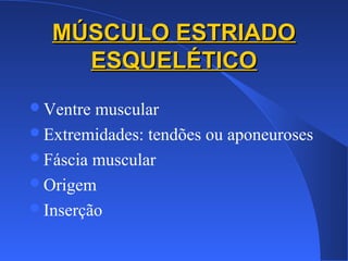 MÚSCULO ESTRIADOMÚSCULO ESTRIADO
ESQUELÉTICOESQUELÉTICO
Ventre muscular
Extremidades: tendões ou aponeuroses
Fáscia muscular
Origem
Inserção
 