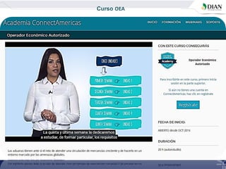 Curso OEA
 