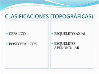 CLASIFICACIONES (TOPOGRÁFICAS)
 CEFÁLICO
 POSTCEFALICOS
 ESQUELETO AXIAL
 ESQUELETO
APENDICULAR
 