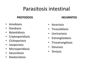 Genero (mayúscula) + especie