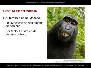 Generalidades de la Propiedad Intelectual en Colombia
Diplomado para la Generación de Capacidades en Gestión del Conocimiento y la Innovación - InnovAcción
Caso: Selfie del Macaco
1.Autoretrato de un Macaco.
2.Los Macacos no son sujetos
de derecho.
3.Por tanto: La foto es de
dominio publico.
Macaca nigra self-portrait. (2011).
En Wikimedia Commons. Foto en Dominio Publico
 