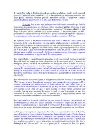 ley del todo o nada, la dendrita depende de cambios graduales y locales en el potencial
eléctrico (potenciales electrotónicos). Tal es la capacidad de adaptación neuronal que
unas pocas dendritas también pueden transmitir señales y establecer sinapsis
dendrodendríticas que influyen en la actividad de dendritas vecinas.

          El Axón: Los axones son prolongaciones del cuerpo neuronal cuya función
esencial es la conducción de los estímulos a otras neuronas o células. Se origina en una
prolongación cónica del pericarion denominada cono axonal. En general, el axón es más
largo y delgado que las dendritas de la misma neurona. El axoplasma consta de REL,
microtúbulos, neurofilamentos y mitocondrias que se disponen en intervalos regulares y
muy abundantes en las terminales axonales; no se observan cuerpos de Nissl.

El segmento inicial es la porción axonal que está entre el ápice del cono axonal y el
comienzo de la vaina de mielina. En esta región, el plasmalema es sostenido por un
material electrón-denso. En axones mielínicos, esta misma situación se presenta en los
nodos de Ranvier. El segmento inicial es el sitio donde se genera el potencial de acción
en el axón, por lo que suele denominarse también "zona de gatillo". Cabe recordarse
además que a nivel de cono axonal y dendritas primarias ocurren importantes procesos
inhibitorios esenciales en la regulación de las motoneuronas.

Los microtúbulos y neurofilamentos presentes en el cono axonal prosiguen también
hacia el axón, de modo que estos elementos son la plataforma para el sistema de
transporte axonal, es decir, el movimiento de moléculas desde el soma al axón y
viceversa. Este mecanismo es esencial ya que el axón no cuenta con una maquinaria de
síntesis. El transporte anterógrado es desde el pericarion hasta la terminal axonal, y el
transporte retrógrado es desde la terminal axonal al pericarion. A la vez, existe un
transporte anterógrado rápido (transporte de organelos, por ejemplo) y lento (transporte
de citosol).

Los microtúbulos son esenciales en el alargamiento del axón durante el desarrollo del
SNC ya que, al estar formados de dinamina, son capaces de reaccionar con ATP y
algunos cofactores que desencadenan el deslizamiento de unos sobre otros y la
sobreposición de microtúbulos de manera tal que hay un avance concreto del cono de
crecimiento axonal. Una vez que el axón alcanza su célula blanco, comienza una
segunda fase de engrosamiento del axón, lo cual es muy importante ya que éste
determina la velocidad de conducción. Es posible que el engrosamiento axonal sea
causa de un aumento considerable de los neurofilamentos.

Un axón mielínico es aquel recubierto por una vaina de mielina. Este material no
conforma parte del axón, sino que es una capa circundante de origen glial. La vaina de
mielina es determinante de la velocidad de propagación de los impulsos nerviosos, de
manera que los axones mielínicos conducen a mayores velocidades que los amielínicos.

A lo largo del axón pueden originarse colaterales axonales desde los nodos de Ranvier,
que a diferencia de como ocurre en las dendritas, forman ángulos rectos. Pueden llegar a
formar sistemas tan ramificados y complejos que superan al árbol dendrítico y son
capaces de contactar con muchas neuronas. Esto permite que una neurona se comunique
con muchas neuronas a la vez, lo que origina una multiplicación anatómica (de vías) y
fisiológica (de información): este es el principio de divergencia. Por otra parte,
 