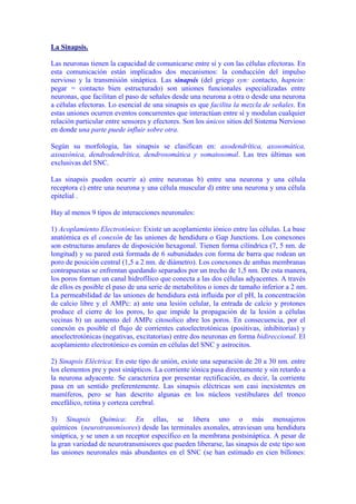La Sinapsis.

Las neuronas tienen la capacidad de comunicarse entre sí y con las células efectoras. En
esta comunicación están implicados dos mecanismos: la conducción del impulso
nervioso y la transmisión sináptica. Las sinapsis (del griego syn: contacto, haptein:
pegar = contacto bien estructurado) son uniones funcionales especializadas entre
neuronas, que facilitan el paso de señales desde una neurona a otra o desde una neurona
a células efectoras. Lo esencial de una sinapsis es que facilita la mezcla de señales. En
estas uniones ocurren eventos concurrentes que interactúan entre sí y modulan cualquier
relación particular entre sensores y efectores. Son los únicos sitios del Sistema Nervioso
en donde una parte puede influir sobre otra.

Según su morfología, las sinapsis se clasifican en: axodendrítica, axosomática,
axoaxónica, dendrodendrítica, dendrosomática y somatosomal. Las tres últimas son
exclusivas del SNC.

Las sinapsis pueden ocurrir a) entre neuronas b) entre una neurona y una célula
receptora c) entre una neurona y una célula muscular d) entre una neurona y una célula
epitelial .

Hay al menos 9 tipos de interacciones neuronales:

1) Acoplamiento Electrotónico: Existe un acoplamiento iónico entre las células. La base
anatómica es el conexón de las uniones de hendidura o Gap Junctions. Los conexones
son estructuras anulares de disposición hexagonal. Tienen forma cilíndrica (7, 5 nm. de
longitud) y su pared está formada de 6 subunidades con forma de barra que rodean un
poro de posición central (1,5 a 2 nm. de diámetro). Los conexones de ambas membranas
contrapuestas se enfrentan quedando separados por un trecho de 1,5 nm. De esta manera,
los poros forman un canal hidrofílico que conecta a las dos células adyacentes. A través
de ellos es posible el paso de una serie de metabolitos o iones de tamaño inferior a 2 nm.
La permeabilidad de las uniones de hendidura está influida por el pH, la concentración
de calcio libre y el AMPc: a) ante una lesión celular, la entrada de calcio y protones
produce el cierre de los poros, lo que impide la propagación de la lesión a células
vecinas b) un aumento del AMPc citosolico abre los poros. En consecuencia, por el
conexón es posible el flujo de corrientes catoelectrotónicas (positivas, inhibitorias) y
anoelectrotónicas (negativas, excitatorias) entre dos neuronas en forma bidireccional. El
acoplamiento electrotónico es común en células del SNC y astrocitos.

2) Sinapsis Eléctrica: En este tipo de unión, existe una separación de 20 a 30 nm. entre
los elementos pre y post sinápticos. La corriente iónica pasa directamente y sin retardo a
la neurona adyacente. Se caracteriza por presentar rectificación, es decir, la corriente
pasa en un sentido preferentemente. Las sinapsis eléctricas son casi inexistentes en
mamíferos, pero se han descrito algunas en los núcleos vestibulares del tronco
encefálico, retina y corteza cerebral.

3) Sinapsis Química: En ellas, se libera uno o más mensajeros
químicos (neurotransmisores) desde las terminales axonales, atraviesan una hendidura
sináptica, y se unen a un receptor específico en la membrana postsináptica. A pesar de
la gran variedad de neurotransmisores que pueden liberarse, las sinapsis de este tipo son
las uniones neuronales más abundantes en el SNC (se han estimado en cien billones:
 