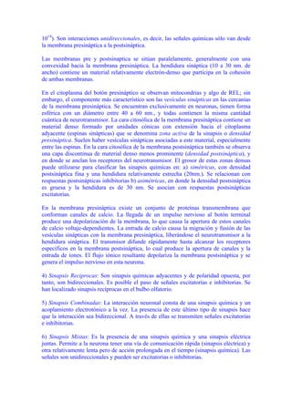 1014). Son interacciones unidireccionales, es decir, las señales químicas sólo van desde
la membrana presináptica a la postsináptica.

Las membranas pre y postsinaptica se sitúan paralelamente, generalmente con una
convexidad hacia la membrana presináptica. La hendidura sináptica (10 a 30 nm. de
ancho) contiene un material relativamente electrón-denso que participa en la cohesión
de ambas membranas.

En el citoplasma del botón presináptico se observan mitocondrias y algo de REL; sin
embargo, el componente más característico son las vesículas sinápticas en las cercanías
de la membrana presináptica. Se encuentran exclusivamente en neuronas, tienen forma
esférica con un diámetro entre 40 a 60 nm., y todas contienen la misma cantidad
cuántica de neurotransmisor. La cara citosólica de la membrana presináptica contiene un
material denso formado por unidades cónicas con extensión hacia el citoplasma
adyacente (espinas sinápticas) que se denomina zona activa de la sinapsis o densidad
presináptica. Suelen haber vesículas sinápticas asociadas a este material, especialmente
entre las espinas. En la cara citosólica de la membrana postsináptica también se observa
una capa discontinua de material denso menos prominente (densidad postsináptica), y
en donde se anclan los receptores del neurotransmisor. El grosor de estas zonas densas
puede utilizarse para clasificar las sinapsis químicas en: a) simétricas, con densidad
postsináptica fina y una hendidura relativamente estrecha (20nm.). Se relacionan con
respuestas postsinápticas inhibitorias b) asimétricas, en donde la densidad postsináptica
es gruesa y la hendidura es de 30 nm. Se asocian con respuestas postsinápticas
excitatorias.

En la membrana presináptica existe un conjunto de proteínas transmembrana que
conforman canales de calcio. La llegada de un impulso nervioso al botón terminal
produce una depolarización de la membrana, lo que causa la apertura de estos canales
de calcio voltaje-dependientes. La entrada de calcio causa la migración y fusión de las
vesículas sinápticas con la membrana presináptica, liberándose el neurotransmisor a la
hendidura sináptica. El transmisor difunde rápidamente hasta alcanzar los receptores
específicos en la membrana postsináptica, lo cual produce la apertura de canales y la
entrada de iones. El flujo iónico resultante depolariza la membrana postsináptica y se
genera el impulso nervioso en esta neurona.

4) Sinapsis Reciprocas: Son sinapsis químicas adyacentes y de polaridad opuesta, por
tanto, son bidireccionales. Es posible el paso de señales excitatorias e inhibitorias. Se
han localizado sinapsis recíprocas en el bulbo olfatorio.

5) Sinapsis Combinadas: La interacción neuronal consta de una sinapsis química y un
acoplamiento electrotónico a la vez. La presencia de este último tipo de sinapsis hace
que la interacción sea bidireccional. A través de ellas se transmiten señales excitatorias
e inhibitorias.

6) Sinapsis Mixtas: Es la presencia de una sinapsis química y una sinapsis eléctrica
juntas. Permite a la neurona tener una vía de comunicación rápida (sinapsis eléctrica) y
otra relativamente lenta pero de acción prolongada en el tiempo (sinapsis química). Las
señales son unidireccionales y pueden ser excitatorias o inhibitorias.
 