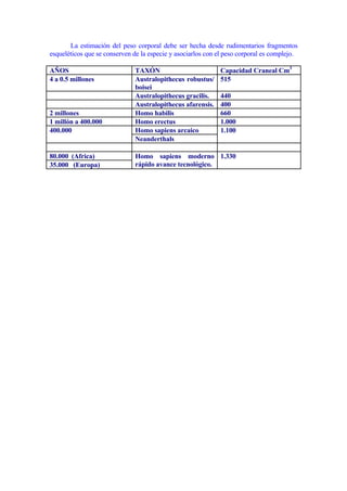 La estimación del peso corporal debe ser hecha desde rudimentarios fragmentos
esqueléticos que se conserven de la especie y asociarlos con el peso corporal es complejo.

AÑOS                           TAXÓN                         Capacidad Craneal Cm3
4 a 0.5 millones               Australopithecus robustus/    515
                               boisei
                               Australopithecus gracilis.    440
                               Australopithecus afarensis.   400
2 millones                     Homo habilis                  660
1 millón a 400.000             Homo erectus                  1.000
400.000                        Homo sapiens arcaico          1.100
                               Neanderthals

80.000 (Africa)                Homo sapiens moderno 1.330
35.000 (Europa)                rápido avance tecnológico.
 