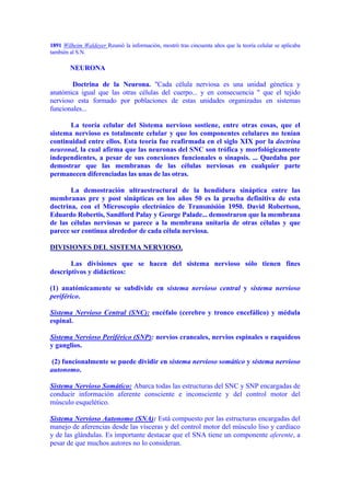 1891 Wilheim Waldeyer Reunió la información, mostró tras cincuenta años que la teoría celular se aplicaba
también al S.N.

        NEURONA

        Doctrina de la Neurona. "Cada célula nerviosa es una unidad génetica y
anatómica igual que las otras células del cuerpo... y en consecuencia " que el tejido
nervioso esta formado por poblaciones de estas unidades organizadas en sistemas
funcionales...

       La teoría celular del Sistema nervioso sostiene, entre otras cosas, que el
sistema nervioso es totalmente celular y que los componentes celulares no tenían
continuidad entre ellos. Esta teoría fue reafirmada en el siglo XIX por la doctrina
neuronal, la cual afirma que las neuronas del SNC son trófica y morfológicamente
independientes, a pesar de sus conexiones funcionales o sinapsis. ... Quedaba por
demostrar que las membranas de las células nerviosas en cualquier parte
permanecen diferenciadas las unas de las otras.

       La demostración ultraestructural de la hendidura sináptica entre las
membranas pre y post sinápticas en los años 50 es la prueba definitiva de esta
doctrina, con el Microscopio electrónico de Transmisión 1950. David Robertson,
Eduardo Robertis, Sandford Palay y George Palade... demostraron que la membrana
de las células nerviosas se parece a la membrana unitaria de otras células y que
parece ser continua alrededor de cada célula nerviosa.

DIVISIONES DEL SISTEMA NERVIOSO.

       Las divisiones que se hacen del sistema nervioso sólo tienen fines
descriptivos y didácticos:

(1) anatómicamente se subdivide en sistema nervioso central y sistema nervioso
periférico.

Sistema Nervioso Central (SNC): encéfalo (cerebro y tronco encefálico) y médula
espinal.

Sistema Nervioso Periférico (SNP): nervios craneales, nervios espinales o raquídeos
y ganglios.

(2) funcionalmente se puede dividir en sistema nervioso somático y sistema nervioso
autonomo.

Sistema Nervioso Somático: Abarca todas las estructuras del SNC y SNP encargadas de
conducir información aferente consciente e inconsciente y del control motor del
músculo esquelético.

Sistema Nervioso Autonomo (SNA): Está compuesto por las estructuras encargadas del
manejo de aferencias desde las vísceras y del control motor del músculo liso y cardíaco
y de las glándulas. Es importante destacar que el SNA tiene un componente aferente, a
pesar de que muchos autores no lo consideran.
 