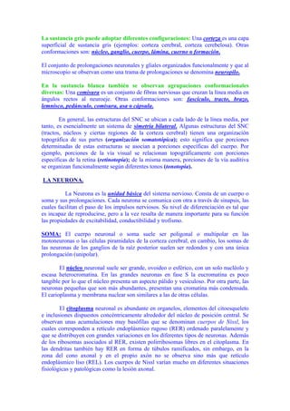 La sustancia gris puede adoptar diferentes configuraciones: Una corteza es una capa
superficial de sustancia gris (ejemplos: corteza cerebral, corteza cerebelosa). Otras
conformaciones son: núcleo, ganglio, cuerpo, lámina, cuerno o formación.

El conjunto de prolongaciones neuronales y gliales organizados funcionalmente y que al
microscopio se observan como una trama de prolongaciones se denomina neuropilo.

En la sustancia blanca también se observan agrupaciones conformacionales
diversas: Una comisura es un conjunto de fibras nerviosas que cruzan la línea media en
ángulos rectos al neuroeje. Otras conformaciones son: fascículo, tracto, brazo,
lemnisco, pedúnculo, comisura, asa o cápsula.

        En general, las estructuras del SNC se ubican a cada lado de la línea media, por
tanto, es esencialmente un sistema de simetría bilateral. Algunas estructuras del SNC
(tractos, núcleos y ciertas regiones de la corteza cerebral) tienen una organización
topográfica de sus partes (organización somatotópica); esto significa que porciones
determinadas de estas estructuras se asocian a porciones específicas del cuerpo. Por
ejemplo, porciones de la vía visual se relacionan topográficamente con porciones
específicas de la retina (retinotopía); de la misma manera, porciones de la vía auditiva
se organizan funcionalmente según diferentes tonos (tonotopía).

LA NEURONA.

          La Neurona es la unidad básica del sistema nervioso. Consta de un cuerpo o
soma y sus prolongaciones. Cada neurona se comunica con otra a través de sinapsis, las
cuales facilitan el paso de los impulsos nerviosos. Su nivel de diferenciación es tal que
es incapaz de reproducirse, pero a la vez resalta de manera importante para su función
las propiedades de excitabilidad, conductibilidad y trofismo.

SOMA: El cuerpo neuronal o soma suele ser poligonal o multipolar en las
motoneuronas o las células piramidales de la corteza cerebral, en cambio, los somas de
las neuronas de los ganglios de la raíz posterior suelen ser redondos y con una única
prolongación (unipolar).

        El núcleo neuronal suele ser grande, ovoideo o esférico, con un solo nucléolo y
escasa heterocromatina. En las grandes neuronas en fase S la eucromatina es poco
tangible por lo que el núcleo presenta un aspecto pálido y vesiculoso. Por otra parte, las
neuronas pequeñas que son más abundantes, presentan una cromatina más condensada.
El carioplasma y membrana nuclear son similares a las de otras células.

        El citoplasma neuronal es abundante en organelos, elementos del citoesqueleto
e inclusiones dispuestos concéntricamente alrededor del núcleo de posición central. Se
observan unas acumulaciones muy basófilas que se denominan cuerpos de Nissl, los
cuales corresponden a retículo endoplásmico rugoso (RER) ordenado paralelamente y
que se distribuyen con grandes variaciones en los diferentes tipos de neuronas. Además
de los ribosomas asociados al RER, existen polirribosomas libres en el citoplasma. En
las dendritas también hay RER en forma de túbulos ramificados, sin embargo, en la
zona del cono axonal y en el propio axón no se observa sino más que retículo
endoplásmico liso (REL). Los cuerpos de Nissl varían mucho en diferentes situaciones
fisiológicas y patológicas como la lesión axonal.
 