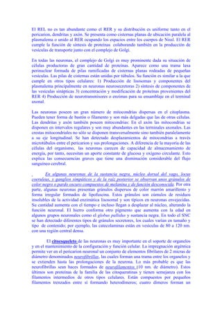 El REL no es tan abundante como el RER y su distribución es uniforme tanto en el
pericarion, dendritas y axón. Se presenta como cisternas planas de ubicación paralela al
plasmalema o unido al RER ocupando los espacios entre los cuerpos de Nissl. El RER
cumple la función de síntesis de proteínas colaborando también en la producción de
vesículas de transporte junto con el complejo de Golgi.

En todas las neuronas, el complejo de Golgi es muy prominente dada su situación de
células productoras de gran cantidad de proteínas. Aparece como una trama laxa
perinuclear formada de pilas ramificadas de cisternas planas rodeadas de pequeñas
vesículas. Las pilas de cisternas están unidas por túbulos. Su función es similar a la que
cumple en otros tipos celulares: 1) Producción de lisosomas y componentes del
plasmalema principalmente en neuronas neurosecretoras 2) síntesis de componentes de
las vesículas sinápticas 3) concentración y modificación de proteínas provenientes del
RER 4) Producción de neurotransmisores o enzimas para su ensamblaje en el terminal
axonal.

Las neuronas poseen un gran número de mitocondrias dispersas en el citoplasma.
Pueden tener forma de bastón o filamento y son más delgadas que las de otras células.
Las dendritas y axón también poseen mitocondrias: En el axón las mitocondrias se
disponen en intervalos regulares y son muy abundantes en las terminales axonales. Las
crestas mitocondriales no sólo se disponen transversalmente sino también paralelamente
a su eje longitudinal. Se han detectado desplazamientos de mitocondrias a través
microtúbulos entre el pericarion y sus prolongaciones. A diferencia de la mayoría de las
células del organismo, las neuronas carecen de capacidad de almacenamiento de
energía, por tanto, necesitan un aporte constante de glucosa y oxígeno circulante. Esto
explica las consecuencias graves que tiene una disminución considerable del flujo
sanguíneo cerebral.

        En algunas neuronas de la sustancia negra, núcleo dorsal del vago, locus
coeruleus, y ganglios simpáticos y de la raíz posterior se observan unos gránulos de
color negro o pardo oscuro compuestos de melanina y de función desconocida. Por otra
parte, algunas neuronas presentan gránulos dispersos de color marrón amarillento y
forma irregular formados de lipofuscina. Estos gránulos son cúmulos de residuos
insolubles de la actividad enzimática lisosomal y son típicos en neuronas envejecidas.
Su cantidad aumenta con el tiempo e incluso llegan a desplazar al núcleo, alterando la
función neuronal. El hierro conforma otro pigmento que aumenta con la edad en
algunos grupos neuronales como el globus pallidus y sustancia negra. En todo el SNC
se han detectado diferentes tipos de gránulos secretores, los cuales varían en tamaño y
tipo de contenido; por ejemplo, las catecolaminas están en vesículas de 80 a 120 nm.
con una región central densa.

        El citoesqueleto de las neuronas es muy importante en el soporte de organelos
y en el mantenimiento de la configuración y función celular. La impregnación argéntica
permite ver en el pericarion neuronal un conjunto de elementos fibrilares de 2 micras de
diámetro denominados neurofibrillas, las cuales forman una trama entre los organelos y
se extienden hasta las prolongaciones de la neurona. Lo más probable es que las
neurofibrillas sean haces formados de neurofilamentos (10 nm. de diámetro). Estos
últimos son proteínas de la familia de las citoqueratinas y tienen semejanza con los
filamentos intermedios de otros tipos celulares. Están compuestos por pequeños
filamentos trenzados entre sí formando heterodímeros; cuatro dímeros forman un
 