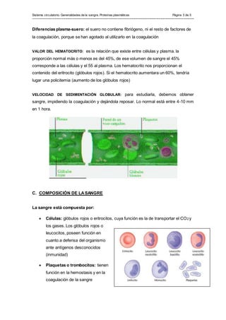 Sistema circulatorio. Generalidades de la sangre. Proteínas plasmáticas Página 3 de 5
---------------------------------------------------------------------------------------------------------------------------------------------------------------
Diferencias plasma-suero: el suero no contiene fibriógeno, ni el resto de factores de
la coagulación, porque se han agotado al utilizarlo en la coagulación
VALOR DEL HEMATOCRITO: es la relación que existe entre células y plasma. la
proporción normal más o menos es del 45%, de ese volumen de sangre el 45%
corresponde a las células y el 55 al plasma. Los hematocrito nos proporcionan el
contenido del eritrocito (glóbulos rojos). Si el hematocrito aumentara un 60%, tendría
lugar una policitemia (aumento de los glóbulos rojos)
VELOCIDAD DE SEDIMENTACIÓN GLOBULAR: para estudiarla, debemos obtener
sangre, impidiendo la coagulación y dejándola reposar. Lo normal está entre 4-10 mm
en 1 hora.
C. COMPOSICIÓN DE LASANGRE
La sangre está compuesta por:
 Células: glóbulos rojos o eritrocitos, cuya función es la de transportar el CO2 y
los gases. Los glóbulos rojos o
leucocitos, poseen función en
cuanto a defensa del organismo
ante antígenos desconocidos
(inmunidad)
 Plaquetas o trombocitos: tienen
función en la hemostasis y en la
coagulación de la sangre
 